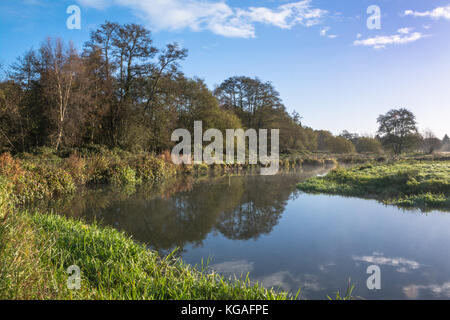 Herbstlandschaft des River Wey bei Thundry Meadows in Surrey, Großbritannien Stockfoto