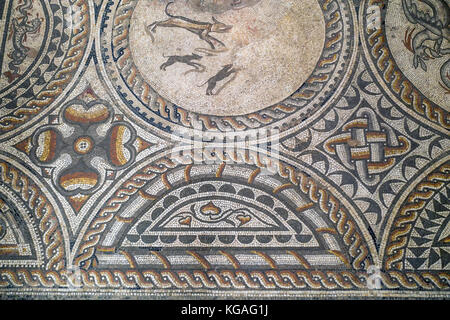 Abschnitt, Jagd Hunde, Große; Roman; Mosaik; Corinium Museum;; Cirencester Gloucestershire, England, Großbritannien Stockfoto