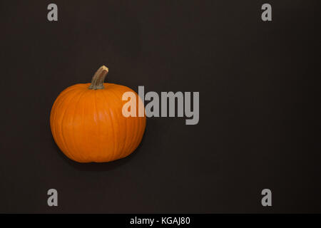 Nahaufnahme einer orange Zucker Kürbiskuchen Kürbis vor einem schwarzen Hintergrund. auf Augenhöhe fotografiert. Stockfoto