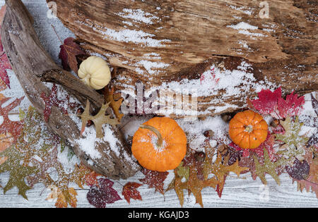 Schneereiche Saison Herbst Dekorationen mit Treibholz und Blätter auf rustikalen weißen Brettern Stockfoto