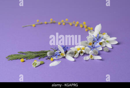 Runden Rahmen von Blumen Schneeglöckchen, Mimosa und Weiden. Florale Komposition auf violett unterlegt. Stockfoto