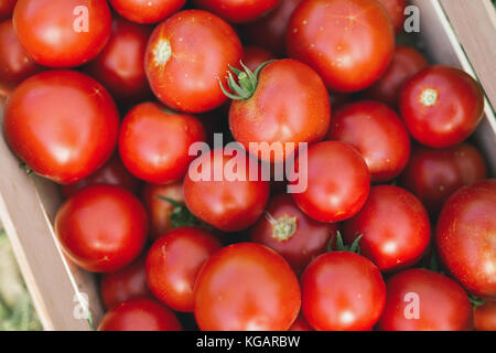 Bild von vielen Tomaten in Holzkiste Stockfoto