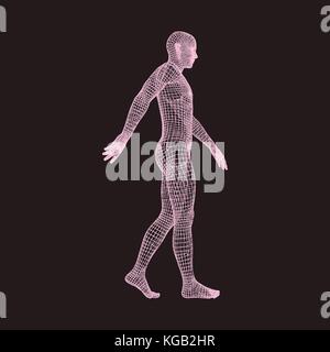 Wenige Menschen. 3d-Modell des menschlichen Körpers. geometrische Design. menschlichen Körper kabel Modell. Vector Illustration. Stock Vektor