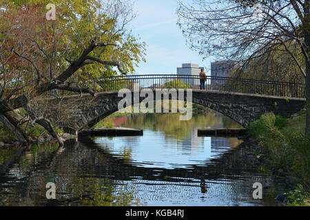 Herbst Laub entlang des Charles River Esplanade in der Boston Bay Gegend Ende Oktober an einem sonnigen Tag Stockfoto