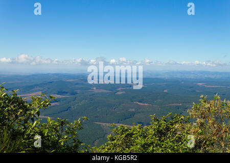 Blyde River Canyon Panorama vom "God es Window" Sicht. Mpumalanga Landschaft Region, Südafrika Stockfoto