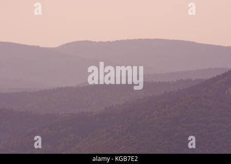 Die bewaldeten Berghang in niedrig liegenden Cloud mit der immergrünen Nadelbäumen in Nebel in einer malerischen Landschaft eingehüllt anzeigen Stockfoto