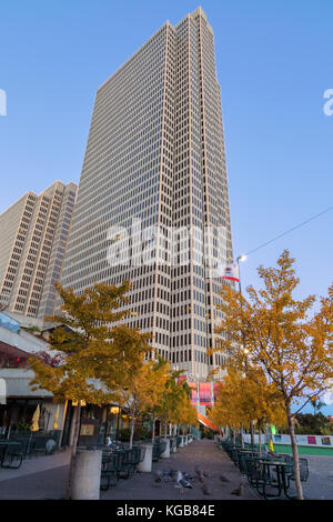 Ginkgobaum (Ginkgo biloba) in den Farben des Herbstes, mit einem der Hochhäuser am Embarcadero Center in San Francisco, Kalifornien. Stockfoto