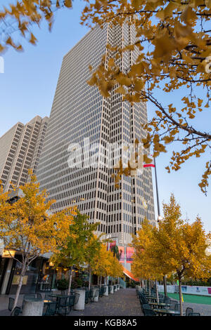 Ginkgobaum (Ginkgo biloba) in den Farben des Herbstes, mit einem der Hochhäuser am Embarcadero Center in San Francisco, Kalifornien. Stockfoto