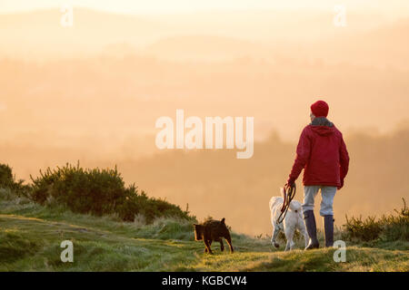 Flintshire, Norden, Großbritannien. 6 Nov, 2017. UK Wetter. Clearing skies über Nacht haben viele mit einem Kaltstart mit einigen Temperaturen in Großbritannien bis zu -4,5 C. links Am frühen Morgen einen Hund Walker für die kalte Wandern entlang der ridgeline der Eisenzeit hillfort der MOEL-y-Gaer gekleidet wie der Sonnenaufgang taucht die landcape in goldenem Licht Stockfoto