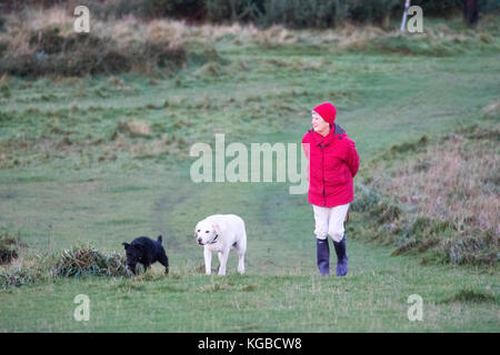 Flintshire, Norden, Großbritannien. 6 Nov, 2017. UK Wetter. Clearing skies über Nacht haben viele mit einem Kaltstart mit einigen Temperaturen in Großbritannien bis zu -4,5 C. links Ein moring Dog Walker gekleidet oder dem kalten Wetter zu Fuß auf halkyn Berg in der Nähe des Dorfes Rhosesmor Credit: DGDImages/Alamy leben Nachrichten Stockfoto