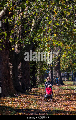 London, Großbritannien. 6 Nov, 2017. Perfektes Wetter das Baby für einen Spaziergang - Blätter im Herbst noch auf den Bäumen zu nehmen aber viel auf dem Boden auf einer frischen Morgen. London, 06. November 2017. Credit: Guy Bell/Alamy leben Nachrichten Stockfoto