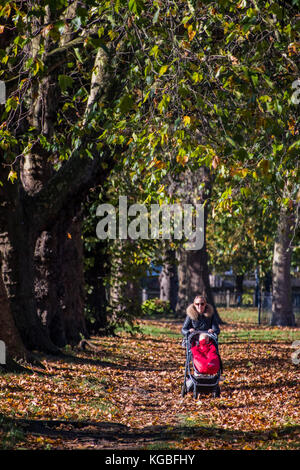 London, Großbritannien. 6 Nov, 2017. Perfektes Wetter das Baby für einen Spaziergang - Blätter im Herbst noch auf den Bäumen zu nehmen aber viel auf dem Boden auf einer frischen Morgen. London, 06. November 2017. Credit: Guy Bell/Alamy leben Nachrichten Stockfoto