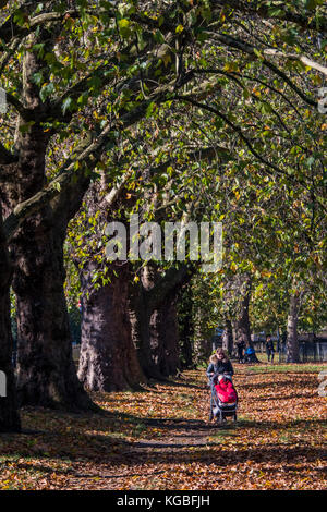 London, Großbritannien. 6 Nov, 2017. Perfektes Wetter das Baby für einen Spaziergang - Blätter im Herbst noch auf den Bäumen zu nehmen aber viel auf dem Boden auf einer frischen Morgen. London, 06. November 2017. Credit: Guy Bell/Alamy leben Nachrichten Stockfoto