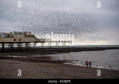 Aberystwyth Wales UK, Montag, 06. November 2017 UK Wetter: Am Ende eines grau bewölkten Nachmittags kehren Tausende von Starlingen von ihren Tagesaktivitäten zurück, um auf dem Wald der gegossenen Beine unter dem Seaside Pier von Aberystwyth zu übernachten. Die Vögel sind zwar eine beliebte Attraktion für Besucher, werden aber von den Bauern verachtet, die sie als Schädlinge ansehen, wertvolle Nahrung von ihrem Vieh stehlen und ihren Kot auf den Farmen hinterlassen Foto © Keith Morris / Alamy Live News Stockfoto