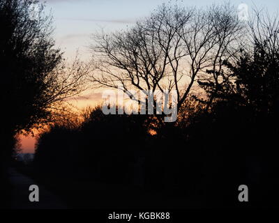 Sheerness, Kent, Großbritannien. 6 Nov, 2017. UK Wetter: Ein farbenfroher Sonnenuntergang entlang des Canal Bank. Credit: James Bell/Alamy leben Nachrichten Stockfoto