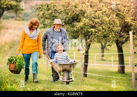 Senior Paar mit Enkelin und Gärtnern im Garten im Hinterhof Stockfoto