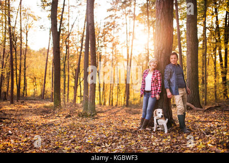 Älteres Ehepaar mit Hund auf einem Spaziergang im Wald. Stockfoto