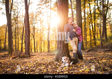 Älteres Ehepaar mit Hund auf einem Spaziergang im Wald. Stockfoto