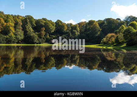Bäume sich in den See an einem Sommertag Stockfoto
