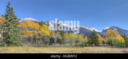 Ein Panorama der Rocky Mountains mit goldene Espen Stockfoto