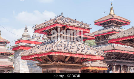 Tempel bedeckt mit Taube in Kathmandu Durbar Square, Kathmandu, Nepal basantapur Stockfoto