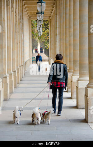 Paris, Frankreich. Palais Royal. Frau zu Fuß drei kleine Hunde. Stockfoto