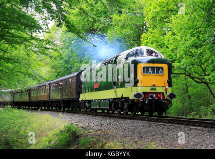 Ein BR Deltic D 9002 zieht ein Personenzug durch Trimpley auf den Severn Valley Railway, Worcestershire, England, Europa Stockfoto