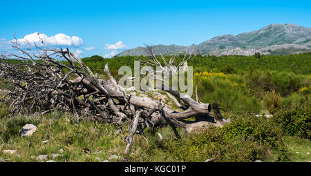 Die schroffe Landschaft auf srd Berg, in der Nähe von Dubrovnik, Kroatien, Europa Stockfoto