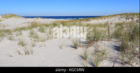 Diesen unberührten, weißen Dünen mit Gras bedeckt bieten die perfekte Vordergrund zu den strahlend blauen Atlantik im Hintergrund Stockfoto