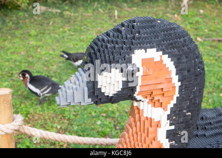 Bruce, Red breasted Goose, Lego, Ziegel, Ziegel, Tier Trail und echten Vögel, in Llanelli, Feuchtgebiete, Center, WWT, Carmarthenshire, Wales, Welsh, Großbritannien, Großbritannien, Europa, Stockfoto