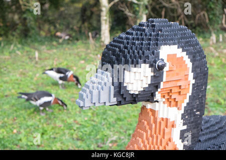 Bruce, Red breasted Goose, Lego, Ziegel, Ziegel, Tier Trail und echten Vögel, in Llanelli, Feuchtgebiete, Center, WWT, Carmarthenshire, Wales, Welsh, Großbritannien, Großbritannien, Europa, Stockfoto