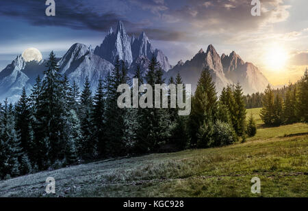 Tag und Nacht Zeit ändern Konzept. Wald auf grasigen Hang Fichte in Bergen mit felsigen Gipfeln. Wunderschöne zusammengesetzte Bild im Sommer Landschaft mit s Stockfoto