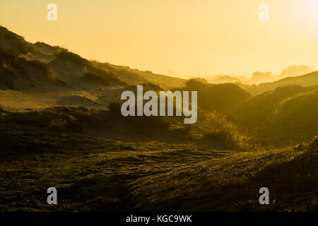 Blick auf den Sandstrand coepelduynen, Sanddünen, in Katwijk in der frühen Morgensonne Stockfoto