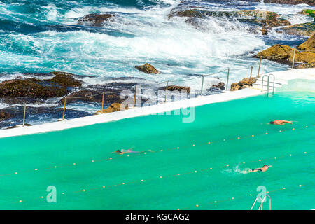 Bondi Bäder Home des legendären Bondi Icebergs Swimming Club liegt am südlichen Ende des Bondi Beach in Sydney, NSW, Australien Stockfoto