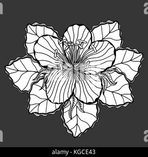 Blume auf einem grauen Hintergrund in einem schwarzen Linien. doodle Blumen Bild für Malbuch und entwirft Ideen Stock Vektor