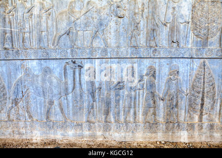 Sklaven und Soldaten führen Geschenke für persische Kaiser in xerxes Palace, Stein bas-relief in der alten Stadt Persepolis, Iran. Stockfoto