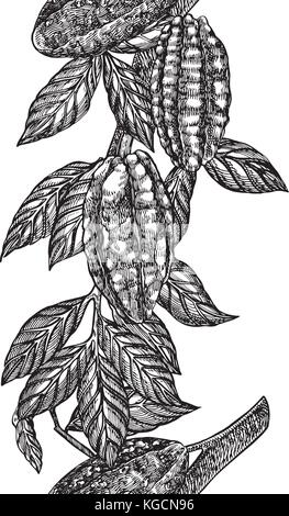 Schokolade Kakaobohnen Vector Illustration. graviert Stil Abbildung. skizziert Hand gezeichnet Kakaobohnen, Baum, Blätter und Zweige. Stock Vektor