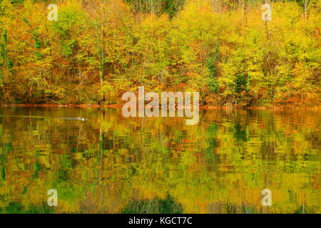 Herbst Landschaft auf den Plitvicer Seen in Kroatien Stockfoto