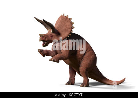 Triceratops horridus, Triceratops-Dinosaurier der späten Kreidezeit in Aktion (3D-Rendering isoliert auf weißem Hintergrund) Stockfoto