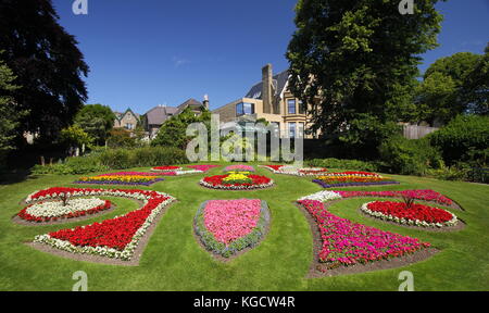 Sommer Bettwäsche in der Viktorianischen Garten botanischer Garten in Sheffield, Sheffield, South Yorkshire, England, Großbritannien Stockfoto