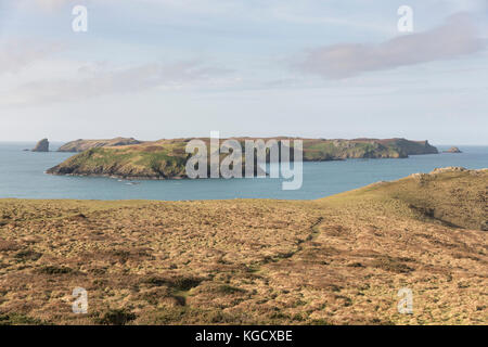 Skomer-Insel aus Wooltack Point, Pembrokeshire, Wales, Großbritannien Stockfoto