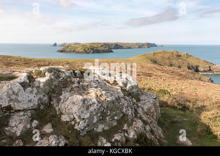 Skomer-Insel aus Wooltack Point, Pembrokeshire, Wales, Großbritannien Stockfoto