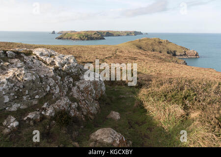 Skomer-Insel aus Wooltack Point, Pembrokeshire, Wales, Großbritannien Stockfoto