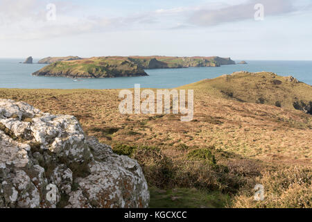 Skomer-Insel aus Wooltack Point, Pembrokeshire, Wales, Großbritannien Stockfoto