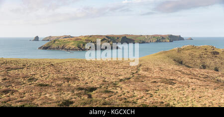 Skomer-Insel aus Wooltack Point, Pembrokeshire, Wales, Großbritannien Stockfoto