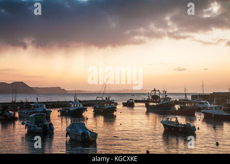 Sonnenaufgang über dem Hafen in Lyme Regis in Dorset, Großbritannien. Stockfoto