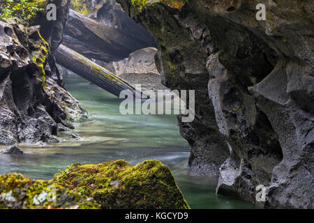 Wenig huson Regional Park, Northern vncouver Island, British Columbia, Kanada. Stockfoto