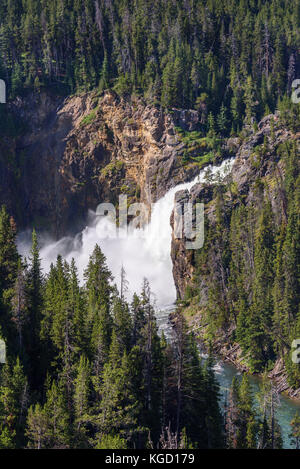 Untere Yellowstone fällt, Wyoming. grand canyon Yellowstone Park, Yellowstone River Stockfoto