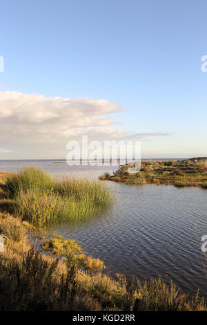 ruhigen Spätnachmittag Malibu Lagoon State Beach, Malibu Kalifornien Stockfoto