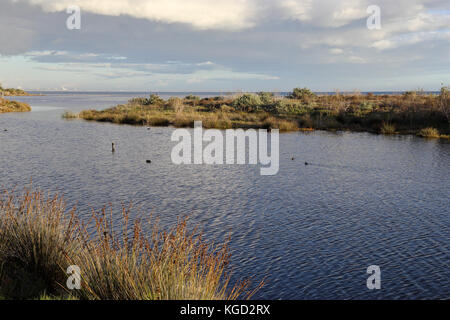 ruhigen Spätnachmittag Malibu Lagoon State Beach, Malibu Kalifornien Stockfoto